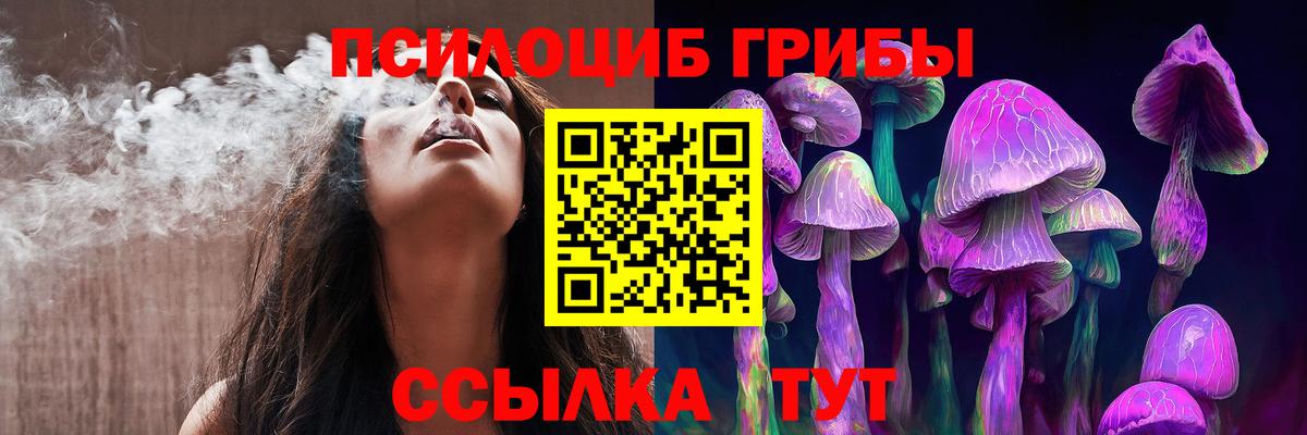 Псилоцибиновые грибы Psilocybine cubensis  Псилоцибиновые грибы мицелий  Вход с VPN  Новодвинск 